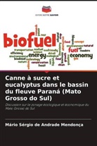 Mário Sérgio de Andrade Mendonça - Canne à sucre et eucalyptus dans le bassin du fleuve Paraná (Mato Grosso do Sul)