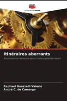 André C. de Camargo, Raphael Guazzelli Valerio - Itinéraires aberrants