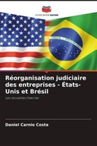 Daniel Carnio Costa - Réorganisation judiciaire des entreprises - États-Unis et Brésil