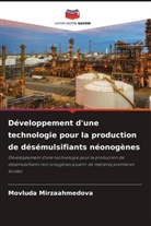 Movluda Mirzaahmedova - Développement d'une technologie pour la production de désémulsifiants néonogènes