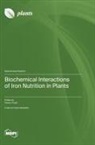 Biochemical Interactions of Iron Nutrition in Plants