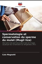 Caio Magnotti - Spermatologie et conservation du sperme du mulet (Mugil liza)