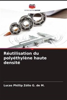 Lucas Phillip Zólio G. de M. - Réutilisation du polyéthylène haute densité