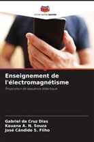 Gabriel da Cruz Dias, Kauana A. N. Souza, José Cândido S. Filho - Enseignement de l'électromagnétisme