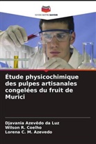 Lorena C. M. Azevedo, Djavania Azevêdo Da Luz, Wilson R. Coelho - Étude physicochimique des pulpes artisanales congelées du fruit de Murici