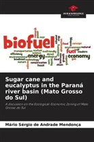 Mário Sérgio de Andrade Mendonça - Sugar cane and eucalyptus in the Paraná river basin (Mato Grosso do Sul)