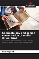 Caio Magnotti - Spermatology and semen conservation of mullet (Mugil liza)