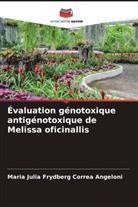 Maria Júlia Frydberg Corrêa Angeloni - Évaluation génotoxique antigénotoxique de Melissa oficinallis