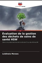 Leidineia Moraes - Évaluation de la gestion des déchets de soins de santé HSW