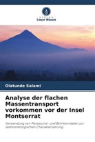 Olatunde Salami - Analyse der flachen Massentransport vorkommen vor der Insel Montserrat
