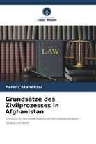 Parwiz Stanekzai - Grundsätze des Zivilprozesses in Afghanistan