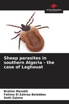 Fatima El Zahraa Belabbes, Brahim Merabti, Setti Zakma - Sheep parasites in southern Algeria - the case of Laghouat
