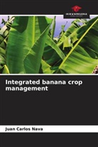 Juan Carlos Nava - Integrated banana crop management