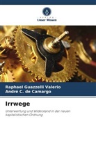 André C de Camargo, André C. de Camargo, Raphael Guazzelli Valerio - Irrwege