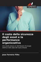 Jose Ferreira Filho - Il costo della sicurezza degli asset e la performance organizzativa