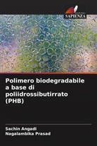 Sachin Angadi, Nagalambika Prasad - Polimero biodegradabile a base di poliidrossibutirrato (PHB)