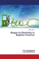 Alyas Aslami - Biogas to Electricity in Baghlan Province
