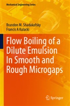 Francis A Kulacki, Brandon M Shadakofsky, Brandon M. Shadakofsky - Flow Boiling of a Dilute Emulsion In Smooth and Rough Microgaps