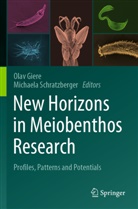 Olav Giere, Schratzberger, Michaela Schratzberger - New Horizons in Meiobenthos Research