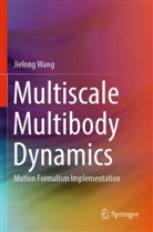 Jielong Wang - Multiscale Multibody Dynamics