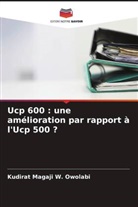 Kudirat Magaji W. Owolabi - Ucp 600 : une amélioration par rapport à l'Ucp 500 ?