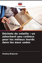 Shafaq Mubarak - Déchets de volaille : un adsorbant peu coûteux pour les métaux lourds dans les eaux usées