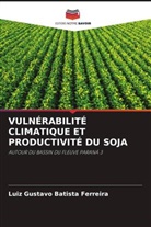 Luiz Gustavo Batista Ferreira - VULNÉRABILITÉ CLIMATIQUE ET PRODUCTIVITÉ DU SOJA