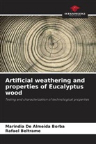 Rafael Beltrame, Marindia de Almeida Borba - Artificial weathering and properties of Eucalyptus wood