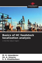 M. H. Iskandarov, S. S. Khabibullaev, Sh. A. Umarov - Basics of HC feedstock localization analysis