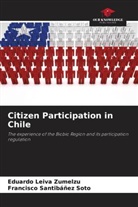 Eduardo Leiva Zumelzu, Francisco Santibáñez Soto - Citizen Participation in Chile