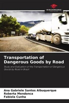 Fabíola Cunha, Roberta Mendonça, Ana Gabriele Santos Albuquerque - Transportation of Dangerous Goods by Road