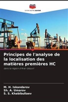 M. H. Iskandarov, S. S. Khabibullaev, Sh. A. Umarov - Principes de l'analyse de la localisation des matières premières HC