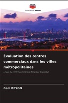 Cem Beygo - Évaluation des centres commerciaux dans les villes métropolitaines