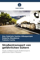 Fabíola Cunha, Roberta Mendonça, Ana Gabriele Santos Albuquerque - Straßentransport von gefährlichen Gütern