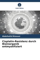 Abdelhafid Mimouni - Cisplatin-Resistenz durch Bioinorganik entmystifiziert