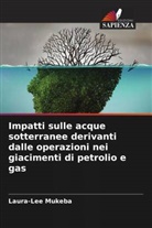Laura-Lee Mukeba - Impatti sulle acque sotterranee derivanti dalle operazioni nei giacimenti di petrolio e gas