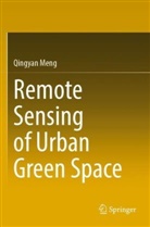 Qingyan Meng - Remote Sensing of Urban Green Space