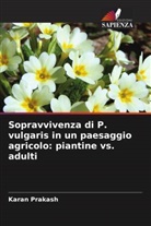 Karan Prakash - Sopravvivenza di P. vulgaris in un paesaggio agricolo: piantine vs. adulti
