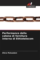 Afera Muluadam - Performance della catena di fornitura interna di Ethiotelecom