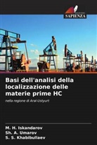M. H. Iskandarov, S. S. Khabibullaev, Sh. A. Umarov - Basi dell'analisi della localizzazione delle materie prime HC