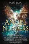 Mari Silva - Angel Numbers