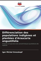 Igor Michel Grosskopf - Différenciation des populations indigènes et plantées d'Araucaria angustifolia