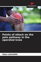 Okba LAOUAMRI - Points of attack on the pain pathway in the operated knee
