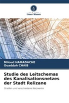 Ouaddah CHAIB, Miloud HAMADACHE - Studie des Leitschemas des Kanalisationsnetzes der Stadt Relizane