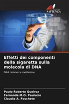 Cláudia A. Foschete, Fernanda M. O. Paulucio, FERNANDA M.O. Paulucio, Paulo Roberto Queiroz - Effetti dei componenti della sigaretta sulla molecola di DNA