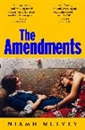 Niamh Mulvey - The Amendments