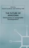 D. Goodman, A. Hall - The Future of Amazonia