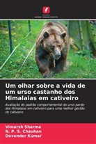 N. P. S. Chauhan, Devender Kumar, Vimarsh Sharma - Um olhar sobre a vida de um urso castanho dos Himalaias em cativeiro