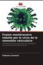 Fabiana Carneiro - Fusion membranaire induite par le virus de la stomatite vésiculaire