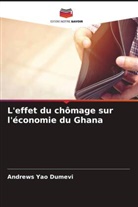 Andrews Yao Dumevi - L'effet du chômage sur l'économie du Ghana